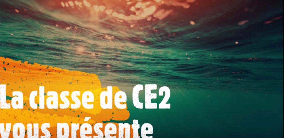 Carnaval 2020 – Theme = développement durable / protection des océans